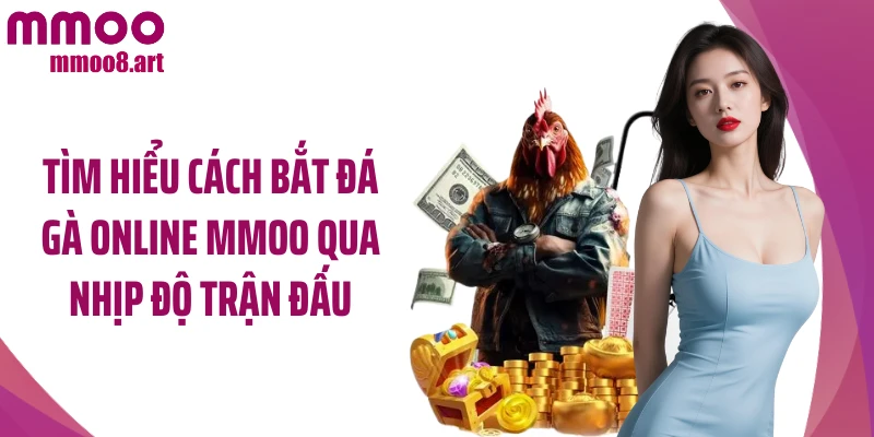 Tìm hiểu cách bắt đá gà online MMOO qua nhịp độ trận đấu